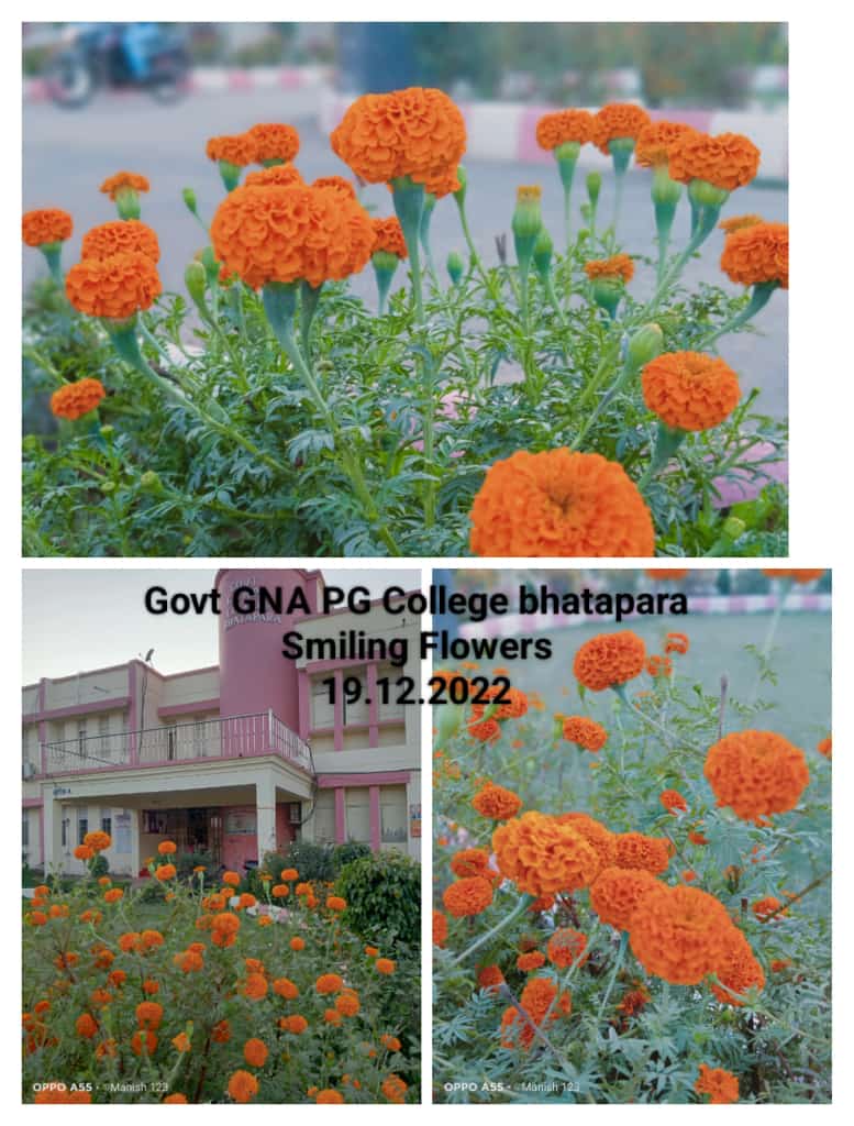 Govt. G. N. A. P.G. College, Bhatapara | Govt. College Bhatapara-Smiling Flowers 19-12-2022