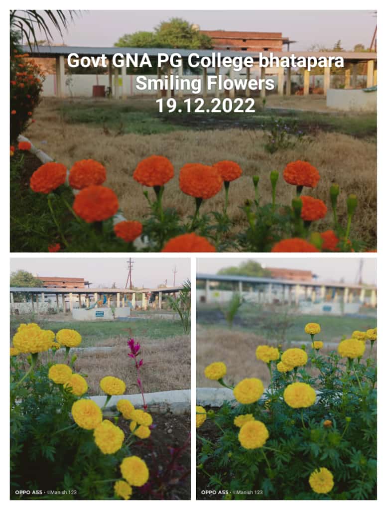 Govt. G. N. A. P.G. College, Bhatapara | Govt. College Bhatapara-Smiling Flowers 19-12-2022